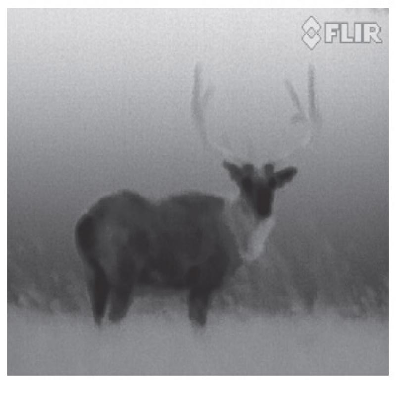 FLIR FLIR Scout III 240 Warmtebeeldcamera