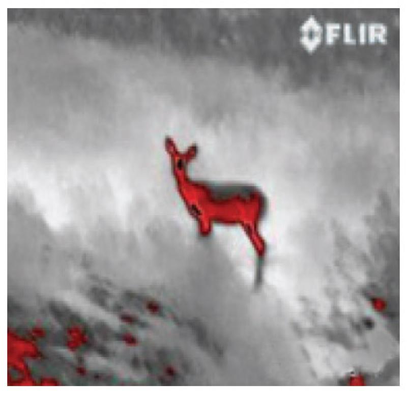 FLIR FLIR Scout III 240 Warmtebeeldcamera